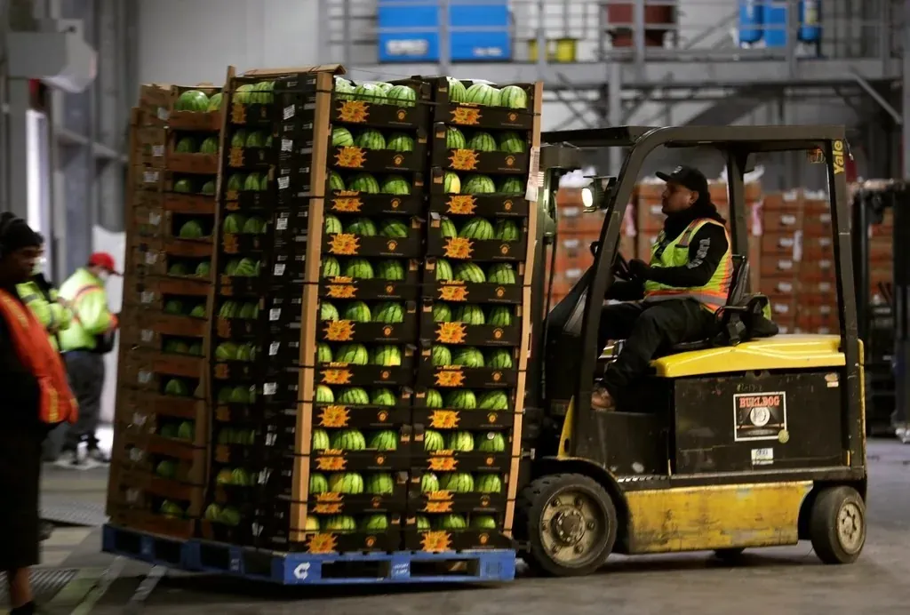Depoda forkliftle palet taşıyan, yansıtıcı yelekli bir çalışan